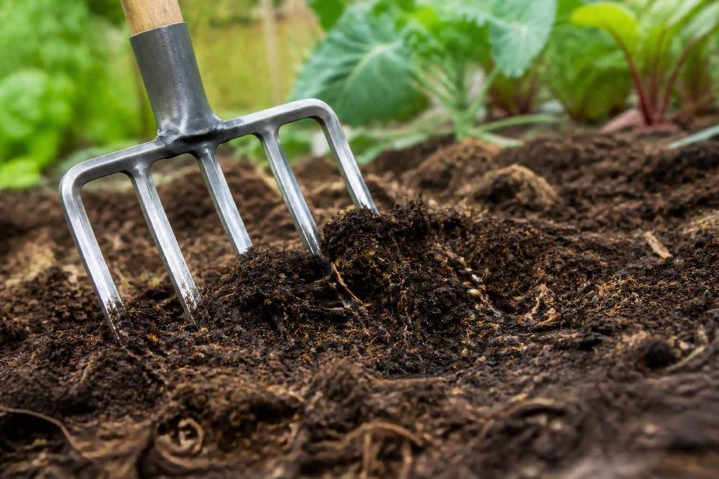 découvrez comment la grelinette améliore l'aération du sol sans le retourner, favorisant la santé des plantes et la biodiversité du sol.