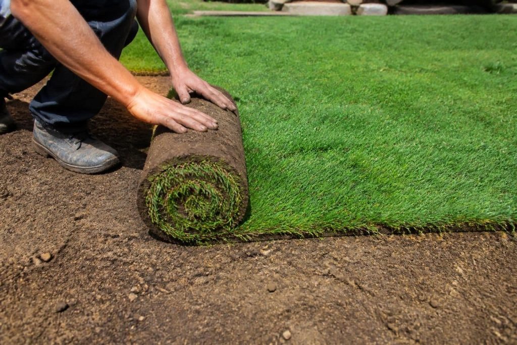 découvrez comment le gazon de placage permet une création immédiate d'une pelouse verdoyante et prête à l'emploi pour un jardin impeccable toute l'année.